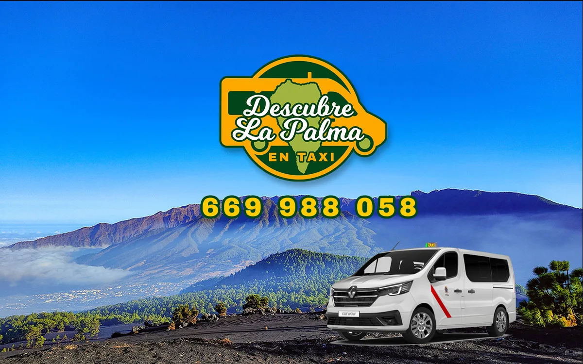 Explora La Palma en Comodidad y Seguridad con los Mejores Servicios de Taxi